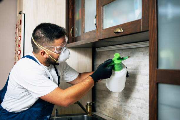 Best Pest Prevention Services  in Long Valley, NJ