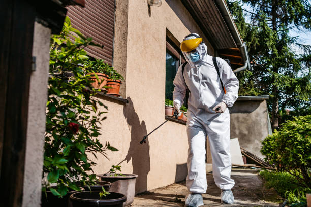 Best Termite Control Services  in Long Valley, NJ