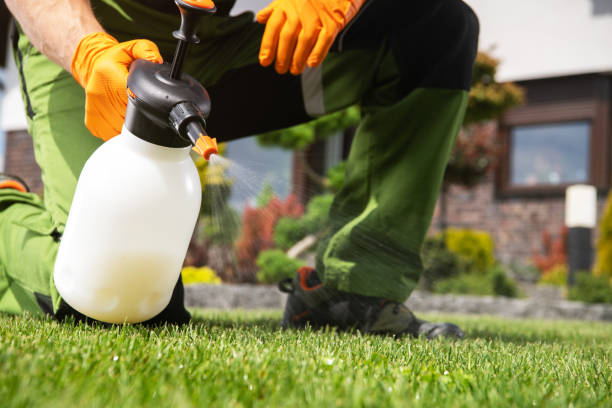 Best Wasp Removal Services  in Long Valley, NJ