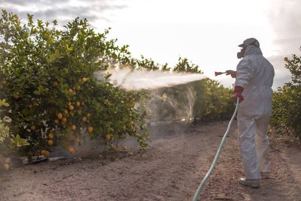 Best Wildlife Control Services  in Long Valley, NJ