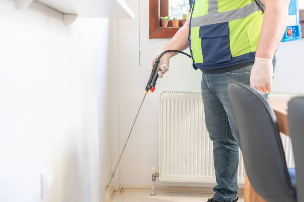 Best Affordable Pest Control Services  in Long Valley, NJ