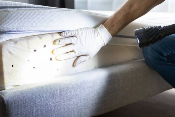 Best Best Pest Control Companies  in Long Valley, NJ