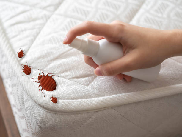 Best Mosquito Control Services  in Long Valley, NJ