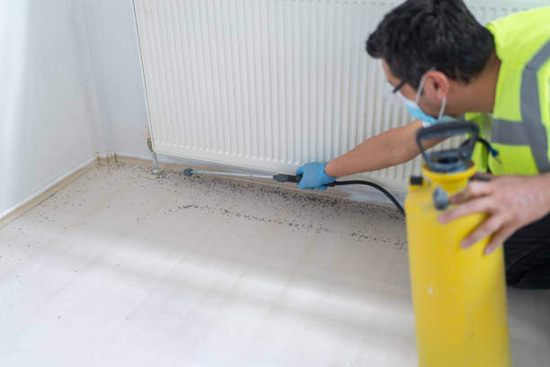 Best Pest Control Near Me  in Long Valley, NJ
